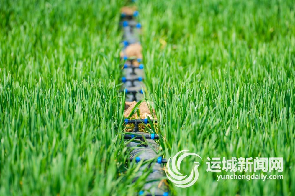 节水从“点滴”做起(图4)