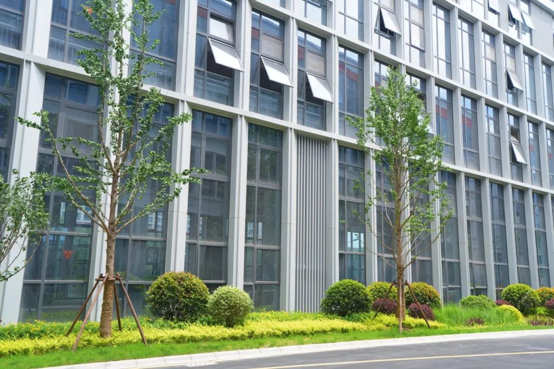 路面雨水回收装置的制造方法 title=