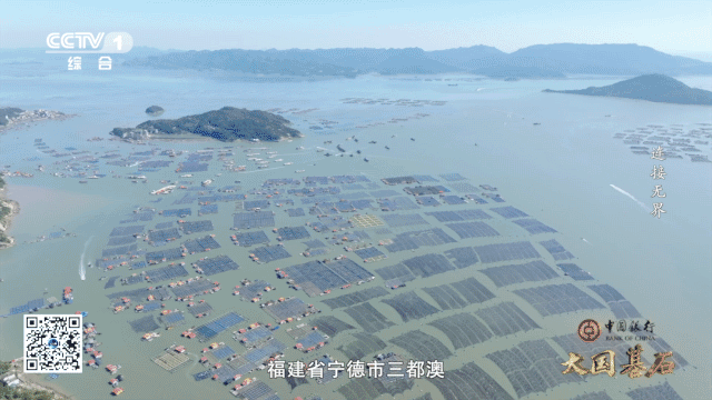 超425万基站领跑全球中国5G如何重塑无界未来？(图6)