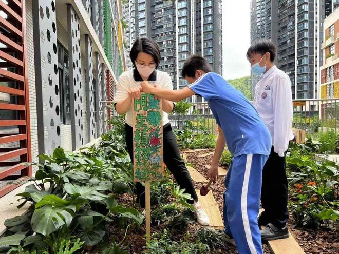 Faces 从共建社区花园到开发工具包这位景观设计师让更多孩子感知、了解气候变化(图9)