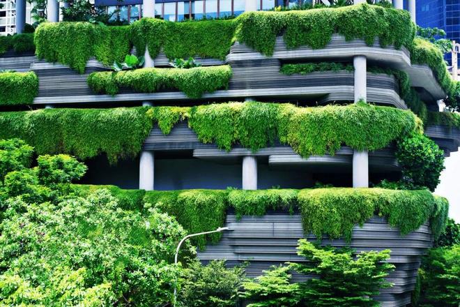 Faces 从共建社区花园到开发工具包这位景观设计师让更多孩子感知、了解气候变化(图4)
