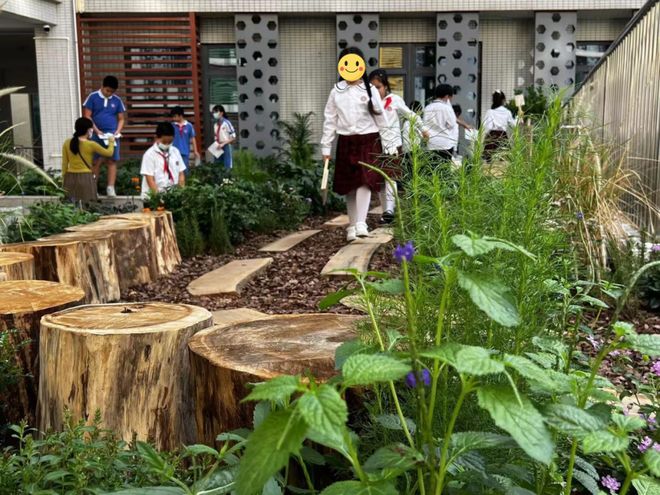 Faces 从共建社区花园到开发工具包这位景观设计师让更多孩子感知、了解气候变化(图10)