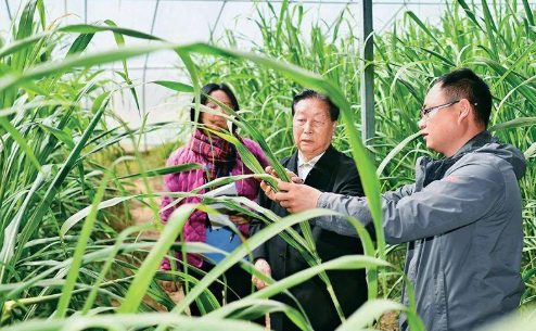闽人智慧｜神仙打架！福建科学家的“含金量”还在上升(图7)