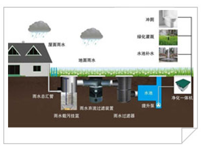 小李获赠玫瑰金人 莱昂纳多摇身变网红