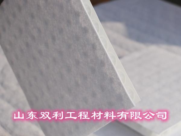 山东双利雨水收集模块与植草格排水系统的底层逻辑让效果翻倍(图1)