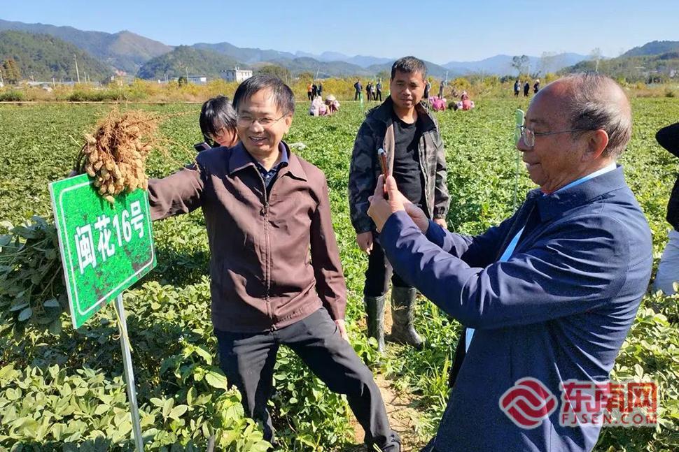 插上“科技的翅膀” 龙岩大池花生产业升级全新启航(图4)