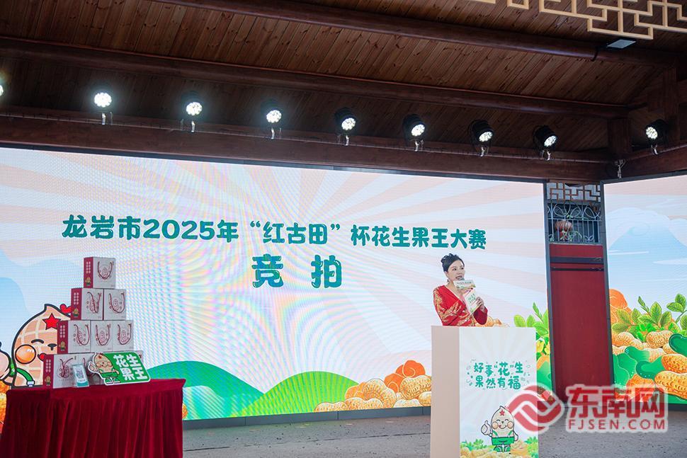 插上“科技的翅膀” 龙岩大池花生产业升级全新启航(图7)